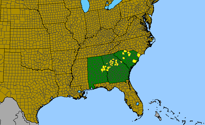 The range of Gratiola amphiantha